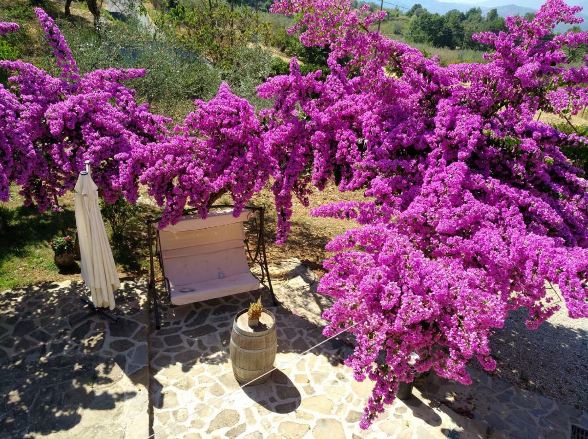 Agriturismo Il Marchese Aquara Екстер'єр фото