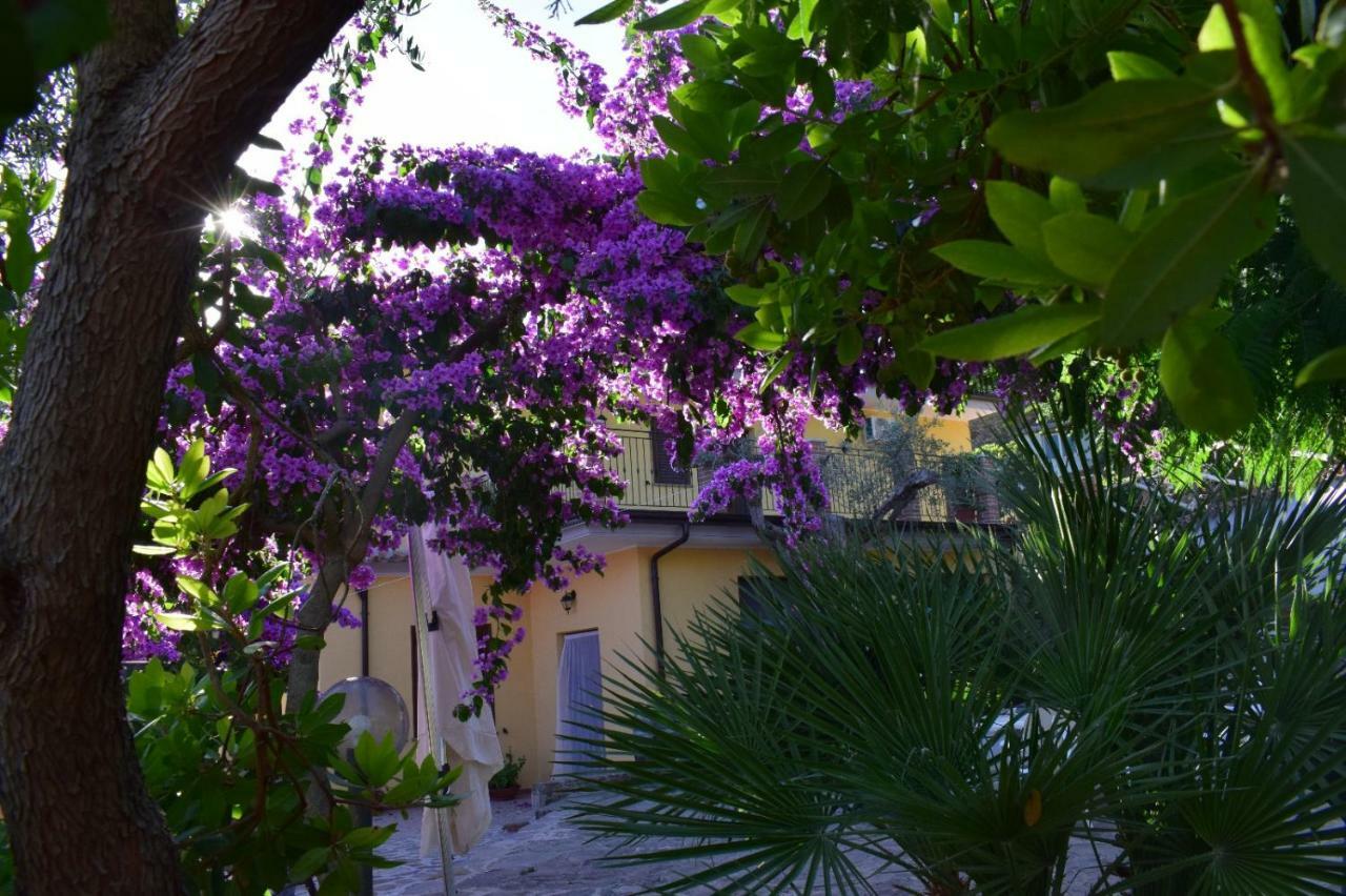 Agriturismo Il Marchese Aquara Екстер'єр фото